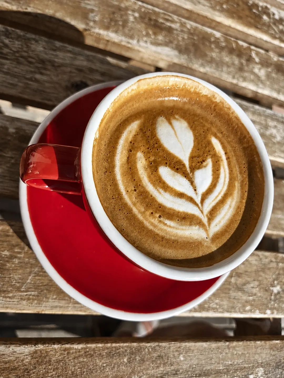 Latte art in Espresso 46’s red coffee cup