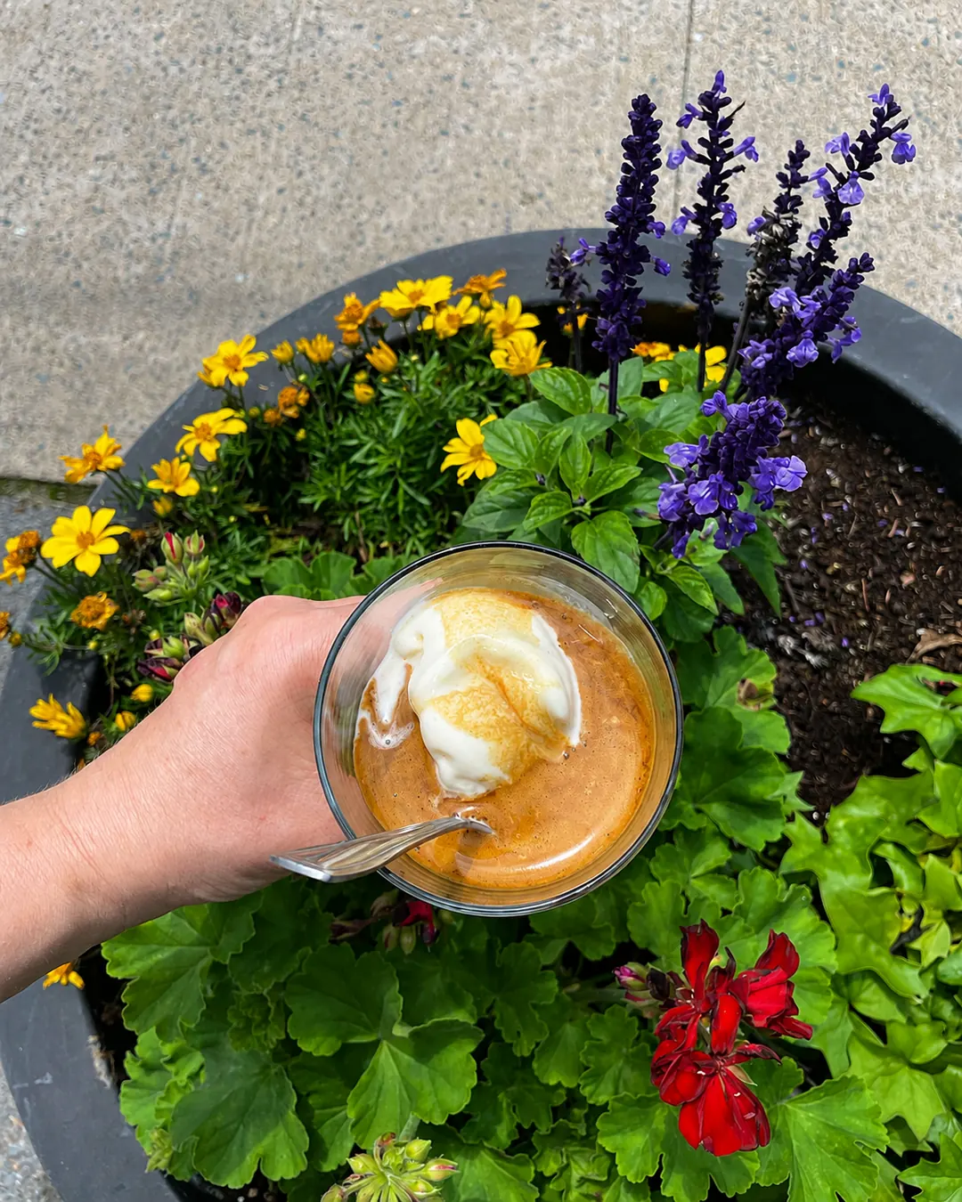 A glass of affogato held beside colourful flowers